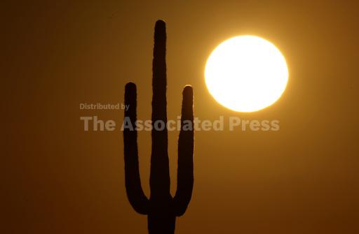 An Arizona woman died after her power was cut over a $5... - Vimarsana News