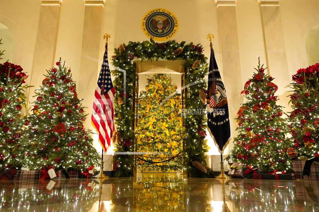 Patrick Semansky Cross Hall and the Blue Room are decorated during the 2020 Christmas preview at the White House, Monday, Nov. 30, 2020, in Washington. (AP Photo/Patrick Semansky)