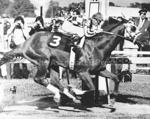 Secretariat's 1973 Triple Crown saw record times in each race. It took 39 years to become official - Vimarsana News