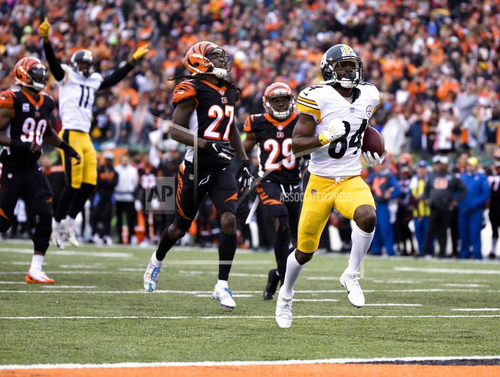 Steelers Bengals Football