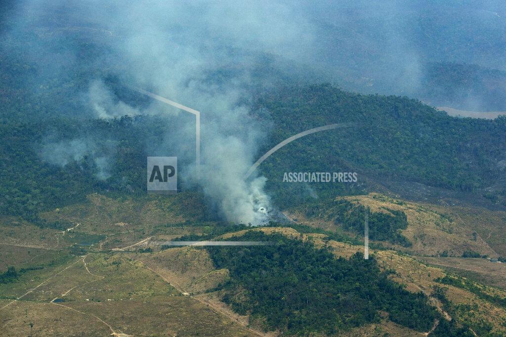 Leo Correa FILE - In this Wednesday, Aug. 28, 2019 file photo, smoke rises from a rainforest in Altamira, Para state, Brazil. A decade-long effort by the world to save the world’s disappearing species and declining ecosystems has mostly failed so far, with fragile ecosystems like coral reefs and tropical forests in even more trouble than ever, according to a United Nations biodiversity report released on Tuesday, Sept. 15, 2020. (AP Photo/Leo Correa)