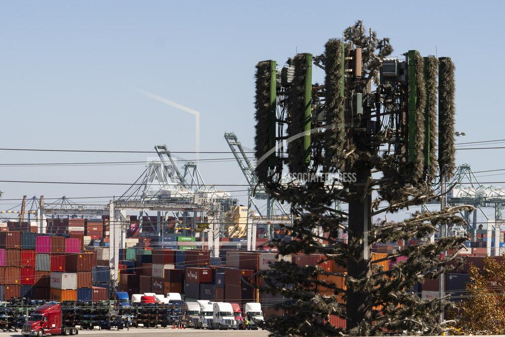 Damian Dovarganes In this Tuesday, Oct. 19, 2021, photo a cellular tower disguised as a tree, right, is seen next to cargo containers sit stacked at the Port of Los Angeles in San Pedro Calif. California Gov, Gavin Newsom on Wednesday, Oct. 20, 2021 issued an order that aims to ease bottlenecks at the ports of Los Angeles and Long Beach that have spilled over into neighborhoods where cargo trucks are clogging residential streets. Last week the White House allowed the ports complex to become a 24-hour operation in an effort to break the logjam and reduce shipping delays. (AP Photo/Damian Dovarganes)