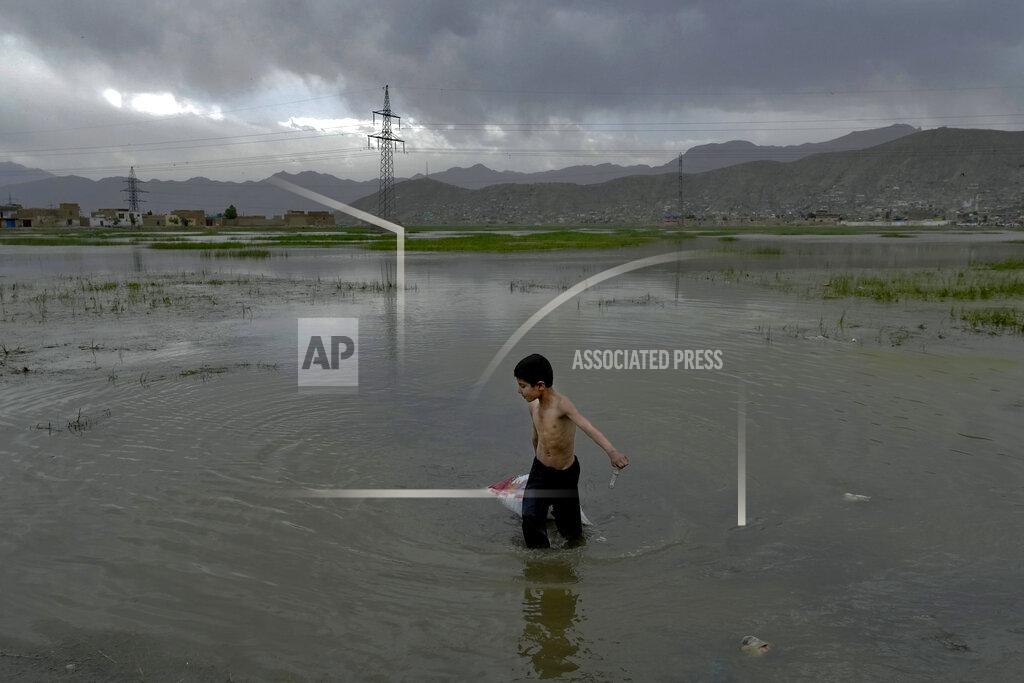 Ebrahim Noroozi A poor boy collects grass for sale, in Kabul, Afghanistan, Monday, May 9, 2022. Some 1.1 million Afghan children under the age of five will face malnutrition by the end of the year. , as hospitals wards are already packed with sick children . (AP Photo/Ebrahim Noroozi)