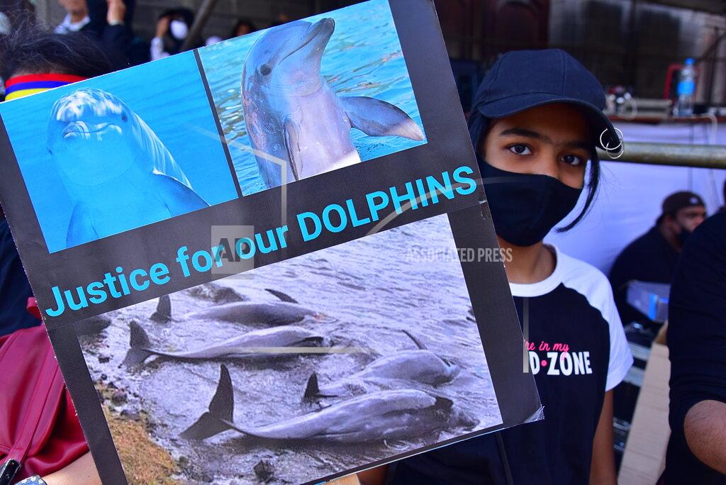 Beekash Roopun Tens of thousands of people protest in Port Louis, Mauritius, Saturday Aug. 29, 2020, over the government's slow response to an oil spill from a grounded Japanese ship and the alarming discovery of dozens of dead dolphins. (Beekash Roopun/L'express Maurice via AP)