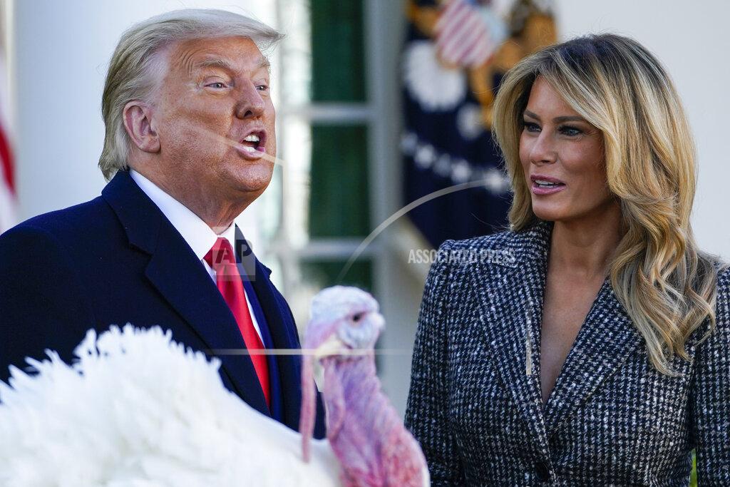 Susan Walsh President Donald Trump speaks after pardoning Corn, the national Thanksgiving turkey, in the Rose Garden of the White House, Tuesday, Nov. 24, 2020, in Washington, as first lady Melania Trump watches. (AP Photo/Susan Walsh)