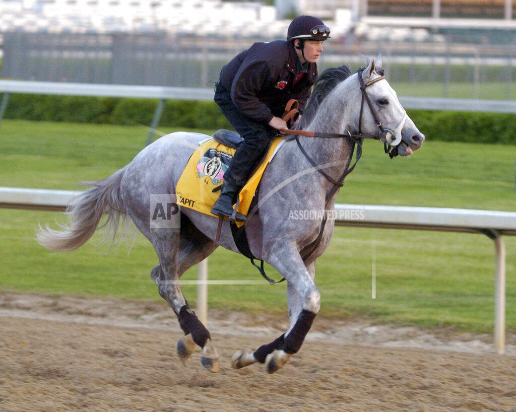 Timothy D. Easley FILE - Kentucky Derby entrant Tapit, with exercise rider Jon Ferriday up, works out along the backstretch at Churchill Downs in Louisville, Ky., in this April 29, 2004, file photo. Only eight grays have won the past 90 runnings of the Kentucky Derby horse race. According to historians and experts, there are just fewer of them in the thoroughbred population compared to more traditional chestnut, bay, brown and black horses. But with light gray Tapit siring Essential Quality and others, horses of that color could be making a comeback at the elite level of racing.(AP Photo/Timothy D. Easley, File)
