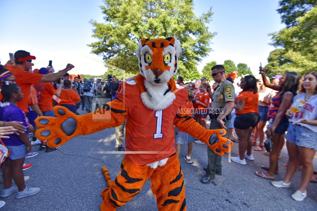Richard Shiro The Clemson Tiger rallies the fans during "Tiger Walk" before the start of an NCAA college football game against Furman Saturday, Sept. 1, 2018, in Clemson, S.C. (AP Photo/Richard Shiro)