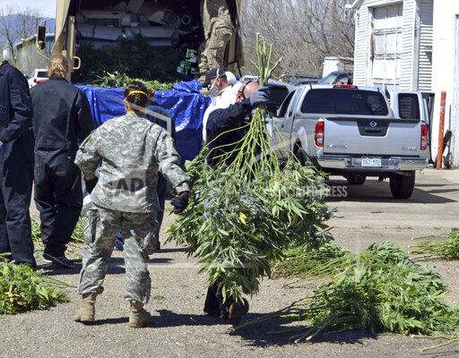 FILE — In this April 14, 2016, file photo, investigators load marijuana plants onto a Colorado National Guard truck outside a suspected illegal grow operation in north Denver. A county in southern Oregon says it is so overwhelmed by an increase in the number and size of illegal marijuana farms that it declared a state of emergency Wednesday, Oct. 13, 2021, appealing to the governor and the Legislature's leaders for help. (AP Photo/P. Solomon Banda, File)