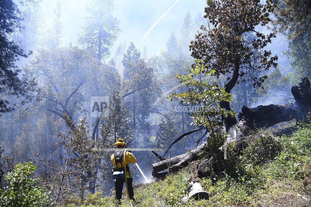 Elias Funez Nevada City based Cal Fire firefighter uses a hose to help tamp down the Golden Fire, which burned 25 acres just south of Camptonville, Calif. Friday, May 20, 202. (Elias Funez/The Union via AP)