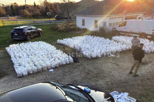 Millions of dollars of psychedelic mushrooms seized in... - Vimarsana News