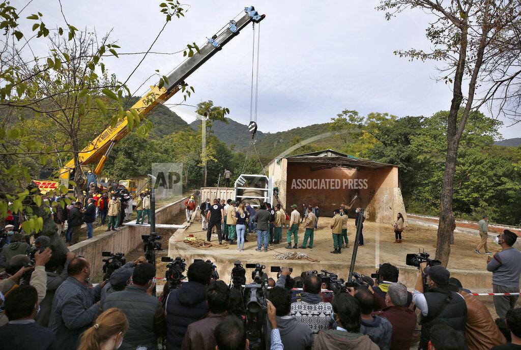 Anjum Naveed Pakistani wildlife workers and experts from the international animal welfare organization Four Paws use a crane to move a crate carrying an elephant named Kaavan for transporting him to a sanctuary in Cambodia, at the Marghazar Zoo in Islamabad, Pakistan, Sunday, Nov. 29, 2020. Kavaan, the world's loneliest elephant, who became a cause celebre in part because America's iconic singer and actress Cher joined the battle to save him from his desperate conditions at the zoo. (AP Photo/Anjum Naveed)