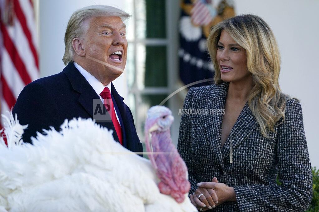 Susan Walsh President Donald Trump speaks after pardoning Corn, the national Thanksgiving turkey, in the Rose Garden of the White House, Tuesday, Nov. 24, 2020, in Washington, as first lady Melania Trump watches. (AP Photo/Susan Walsh)