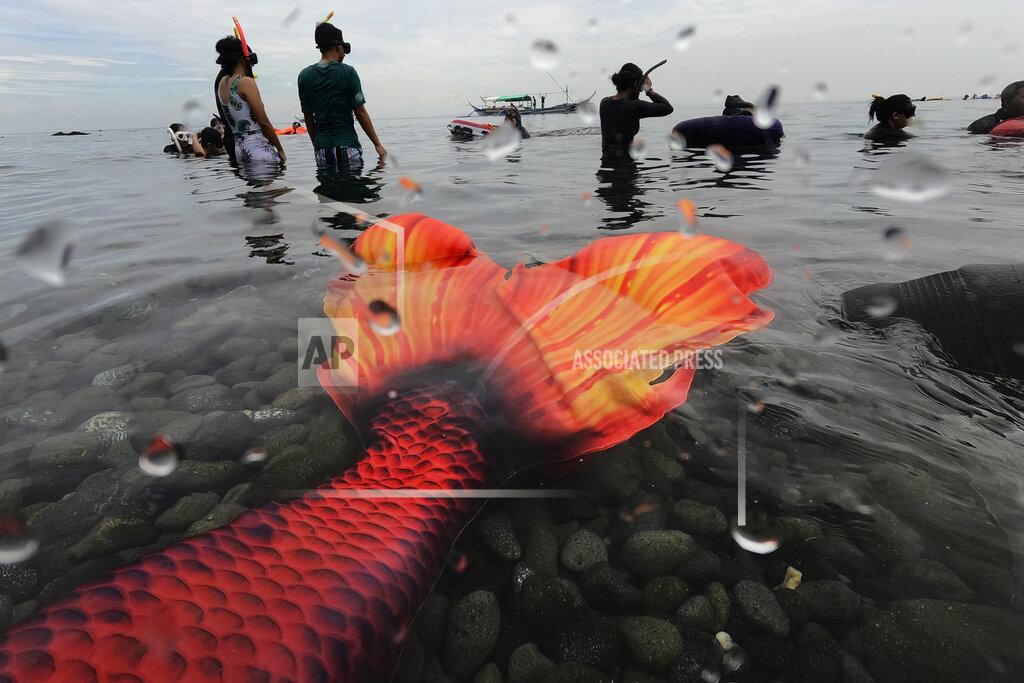 Aaron Favila The mermaid tail of Queen Pangke Tabora rests as a freediving class is conducted at the Ocean Camp in Mabini, Batangas province, Philippines on Sunday, May 22, 2022. Across the world, there are thousands more merfolk like her _ at its simplest, humans of all shapes, genders and backgrounds who enjoy dressing up as mermaids. (AP Photo/Aaron Favila)