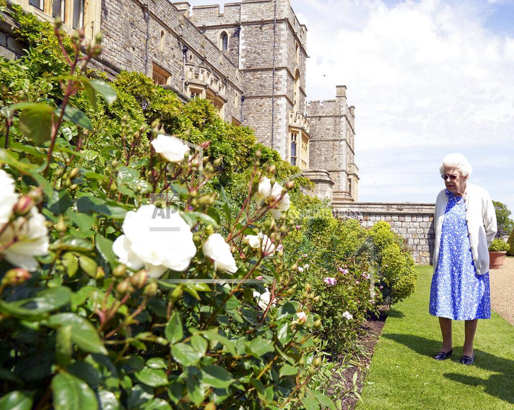 Steve Parsons Britain's Queen Elizabeth II inspects a rose border after receiving a Duke of Edinburgh rose, at Windsor Castle, England, Wednesday June 9, 2021. The newly bred deep pink commemorative rose has officially been named in memory of the late Prince Philip Duke of Edinburgh. A royalty from the sale of each rose will go to The Duke of Edinburgh's Award Living Legacy Fund to support young people taking part in the Duke of Edinburgh Award scheme. (Steve Parsons/Pool via AP)