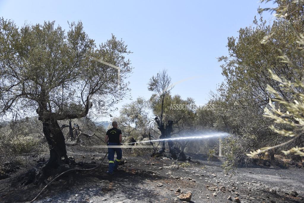 Andreas Alexopoulos A firefighter operates near Ziria village, east of Patras, Greece, Sunday, Aug. 1, 2021. A wildfire that broke out Saturday in western Greece forced the evacuation of four villages and people on a beach by the Fire Service, the Coast Guard and private boats, authorities said. (AP Photo/Andreas Alexopoulos)