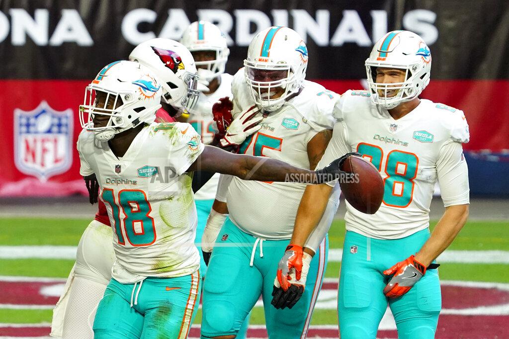 Rick Scuteri Miami Dolphins wide receiver Preston Williams (18) celebrates his touchdown against the Arizona Cardinals during the first half of an NFL football game, Sunday, Nov. 8, 2020, in Glendale, Ariz. (AP Photo/Rick Scuteri)