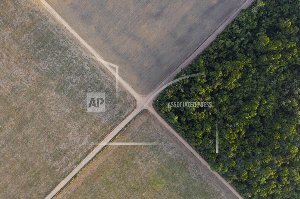 FILE - In this Nov. 30, 2019 file photo, a section of Amazon rainforest stands next to soy fields in Belterra, Para state, Brazil. A decade-long effort by the world to save the world’s disappearing species and declining ecosystems has mostly failed so far, with fragile ecosystems like coral reefs and tropical forests in even more trouble than ever, according to a United Nations biodiversity report released on Tuesday, Sept. 15, 2020. (AP Photo/Leo Correa)