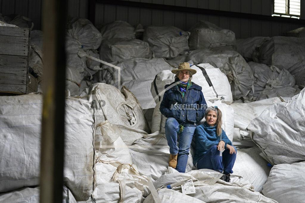 Seth Wenig Gail Hepworth, right, and Amy Hepworth, sisters and co-owners of Hepworth Farms, pose for a picture on bags full of hemp plants at Hepworth Farms in Milton, N.Y., Monday, April 12, 2021. Farmers dealing with depressed prices for plants that produce CBD extract are eager to take part in a statewide marijuana market expected to generate billions of dollars a year once retail sales start. They already know how to grow and process cannabis plants, since hemp is essentially the same plant with lower levels of THC, marijuana's active ingredient. Now they're waiting on rules that will allow them to switch seeds. (AP Photo/Seth Wenig)