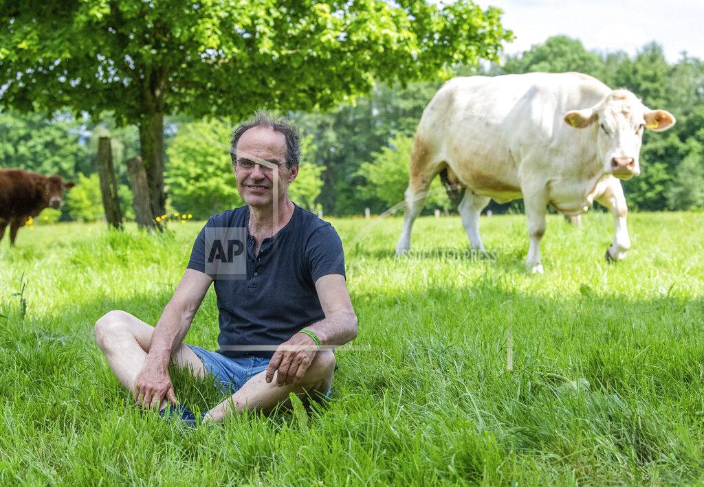Lino Mirgeler Ulf Allhoff-Cramer, farmer, sits in a pasture next to one of his cows in Detmold, Germany, Wedenesday, May 18, 2022. The organic farmer holds the VW car company partly responsible for damage to his farm. Together with Greenpeace, he wants to go to court to get VW to stop producing combustion vehicles by 2030. (Lino Mirgeler/dpa via AP)