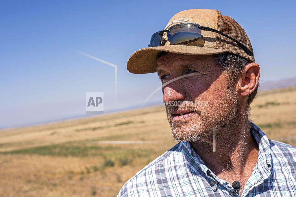 Nathan Howard Phil Fine watches a combine harvest carrot seeds in the North Unit Irrigation District on Tuesday, Aug. 31, 2021, near Madras, Ore. Oregon farmers who grow 60% of the world's carrot seed have been without irrigation water for weeks as drought ravages the American West. But just down the road, sprinklers douse crops and cattle graze in green pastures. The stark contrast is a consequence of the West's arcane water law, and it's brought new urgency to efforts to share the resource along Oregon's Deschutes River. (AP Photo/Nathan Howard)