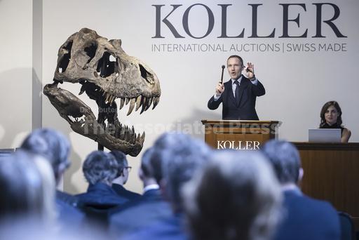 Belgian foundation to exhibit auctioned T. rex in Antwe... - Vimarsana News