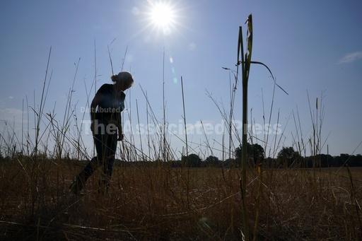Climate change may force more farmers and ranchers to c... - Vimarsana News