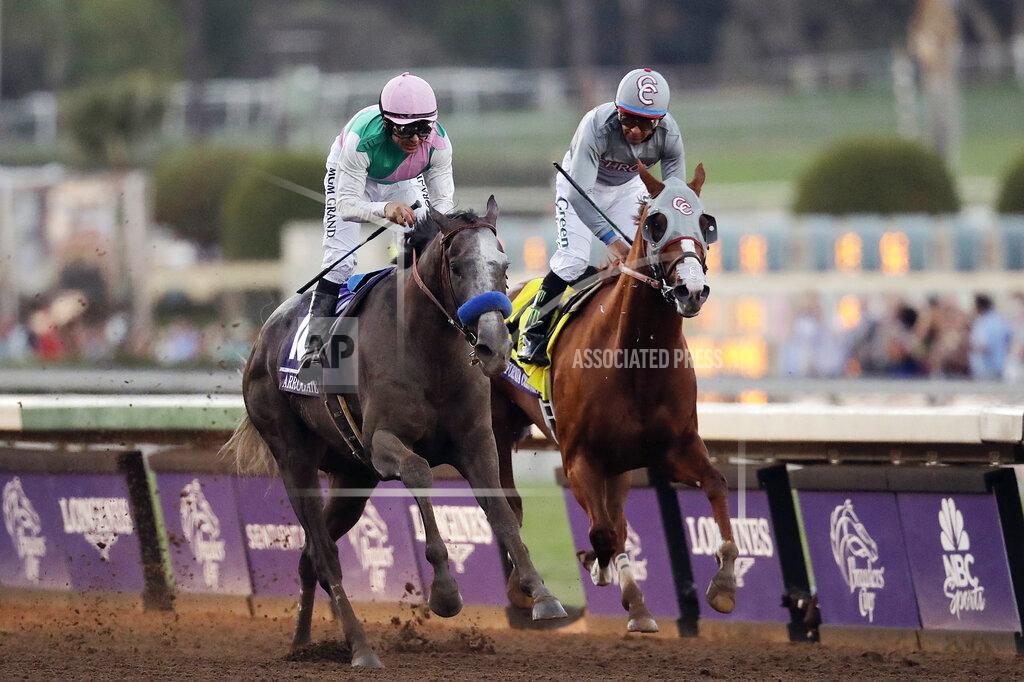 Jae C. Hong FILE - In this Nov. 5, 2016, file photo, Arrogate, left, with Mike Smith aboard, charges to the finish line to win the Breeders' Cup Classic horse race against California Chrome ridden by Victor Espinoza at Santa Anita Park, in Arcadia, Calif. North America's all-time money earner, has died. He was seven. Juddmonte Farms in Lexington, Ky., said Arrogate was euthanized on Tuesday, June 2, 2020, after becoming ill. (AP Photo/Jae C. Hong, File)
