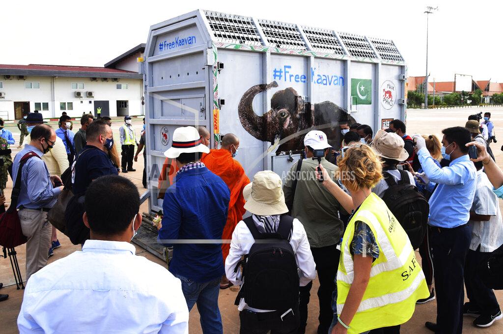 Pool A shipping container holding Kaavan the elephant arrivals from Pakistan at the Siem Reap International Airport, Cambodia, Monday, Nov. 30, 2020. Kaavan, dubbed the "world's loneliest elephant" after languishing alone for years in a Pakistani zoo, has arrived in Cambodia where a sanctuary with the much-needed company of other elephants awaits him. (Pool Photo via AP)
