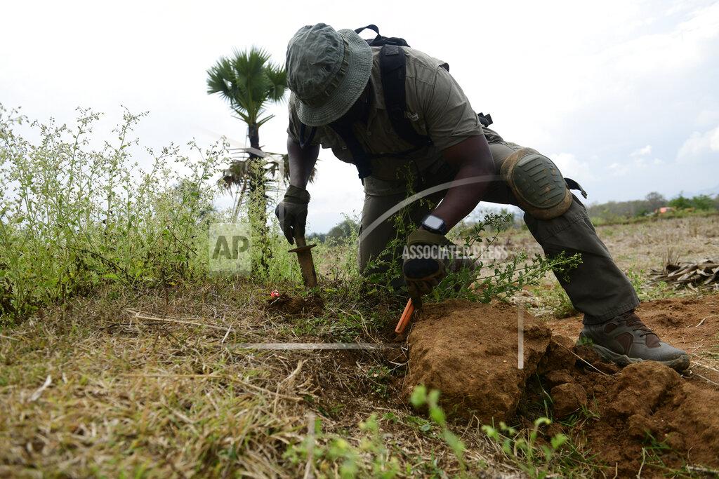 Michael O'NEal Freddie Smith, a Defense POW/MIA Accounting Agency (DPAA) life support investigator, searches for loose metal at an excavation site in Lampang Province, Thailand, Feb. 15, 2022. Possible human remains were found at a crash site in a rice field in northern Thailand by the Defense POW/MIA Accounting Agency and were sent to Hawaii where they will be tested to see if they belong to a U.S. pilot who went missing in 1944. (U.S. Army Sgt. 1st Class Michael O'Neal/Defense POW/MIA Accounting Agency via AP)
