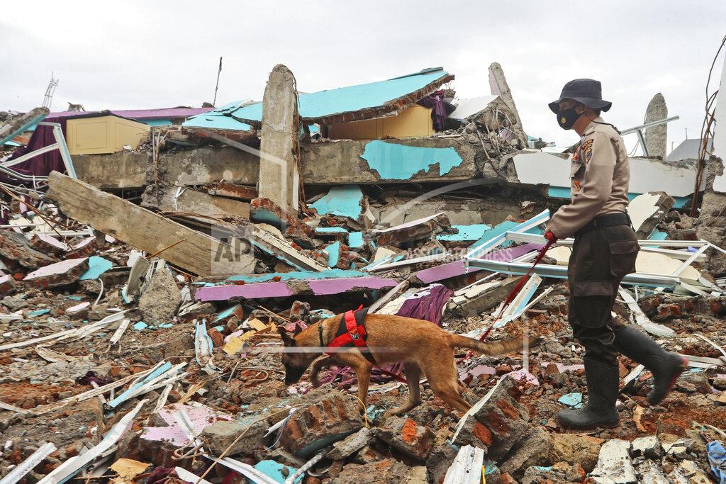 Joshua Marunduh A police officer leads a sniffer dog during a search of victims at the ruin of a building flattened by an earthquake in Mamuju, West Sulawesi, Indonesia, Sunday, Jan. 17, 2021. Rescuers retrieved more bodies from the rubble of homes and buildings toppled by the magnitude 6.2 earthquake while military engineers managed to reopen ruptured roads to clear access for relief goods. (AP Photo/Joshua Marunduh)