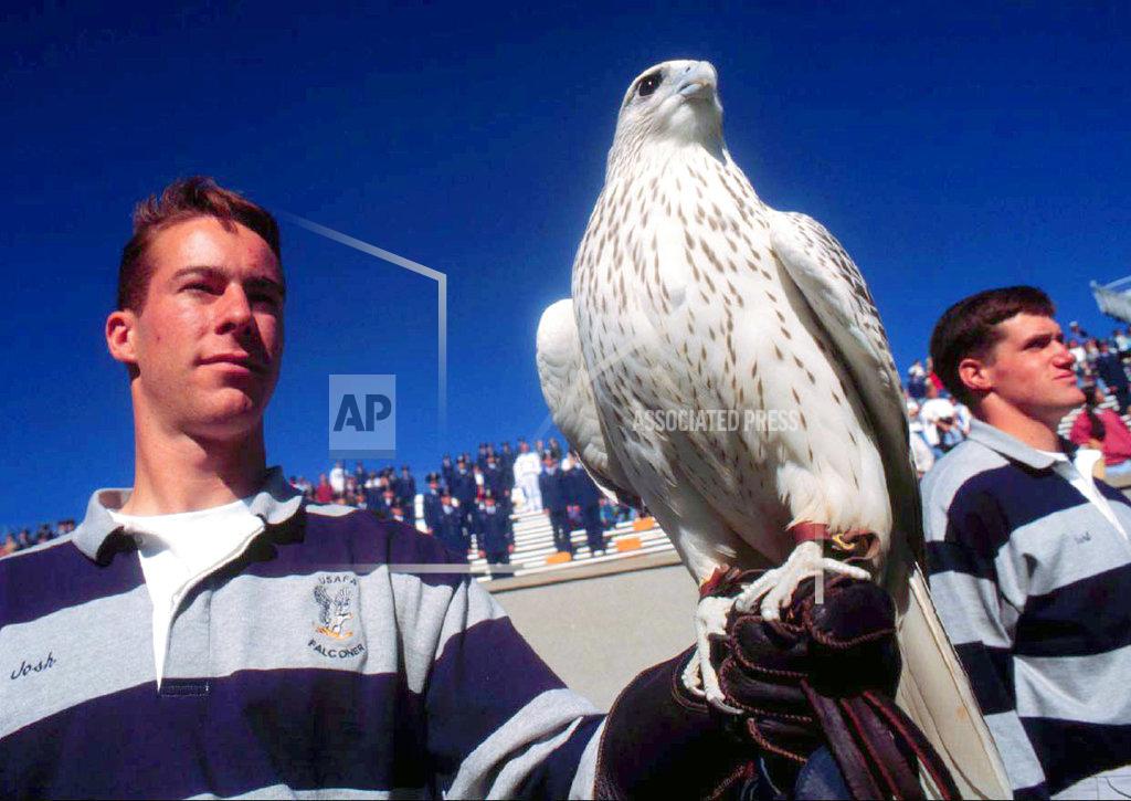 Uncredited In this Sept. 28, 1996, photo Air Force Academy falconer Josh Johnson stands with falcon Aurora, the academy's official mascot, at the end of a game against Rice at Air Force Academy, Colo. The falcon, which was injured during a prank before the annual rivalry football game against Army, is recovering back in Colorado, but her long-term prognosis is unclear. (The Gazette via AP)