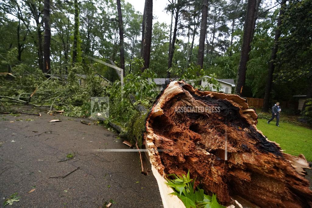 Rogelio V. Solis A northeast Jackson, Miss., resident walks by a wind ripped tree, Tuesday, May 4, 2021. The fallen tree was one of many that left thousands of central Mississippians without power. The severe weather was not unexpected, since the state was hit with a number of tornadoes on Sunday. (AP Photo/Rogelio V. Solis)