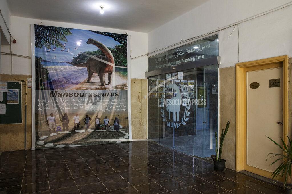 Nariman El-Mofty HOLD The entrance of The Mansoura University Vertebrate Paleontology Center, where the discovery of fossils of a 43 million-year-old four-legged prehistoric whale known as the "Phiomicetus Anubis," in an evolution of whales from land to sea, which was unearthed over a decade ago in Fayoum in the Western Desert of Egypt, at the university's paleontology department lab, in the Nile Delta city of Mansoura, 110 kilometers (70 miles) north of Cairo, Egypt, Sunday, Sept. 12, 2021. (AP Photo/Nariman El-Mofty)