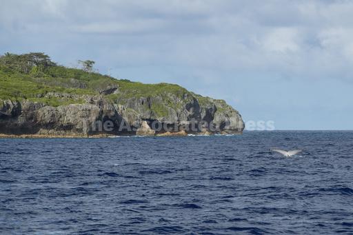 Sponsor an ocean? Tiny island nation of Niue has a nove... - Vimarsana News