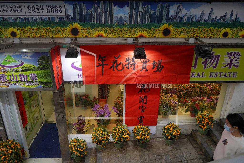 Kin Cheung Pots of citrus trees for Chinese New Year are displayed for sale at a real estate property agent store in Hong Kong Tuesday, Feb. 2, 2021. The Lunar New Year holiday is usually a busy period for flower farms in Hong Kong, which gear up to sell plum blossoms, orchids and daffodils at flower markets during the festive season. But the pandemic and restrictions on such festive markets this year has taken a toll on many farms, who worry that they may be left with an oversupply of flowers. (AP Photo/Kin Cheung)