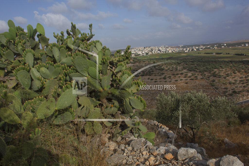 Nasser Nasser Palestinian hikers approach the Deir Qalaa, "Monastery of the Castle," the remains of a Byzantine monastery, over looking the West Bank village of Deir Ballout, background, west of Salfit, Friday, June. 11, 2021. A growing number of Palestinians are taking up hiking, which offers a way to explore the countryside and historical landmarks in the Israeli-occupied West Bank. (AP Photo/Nasser Nasser)