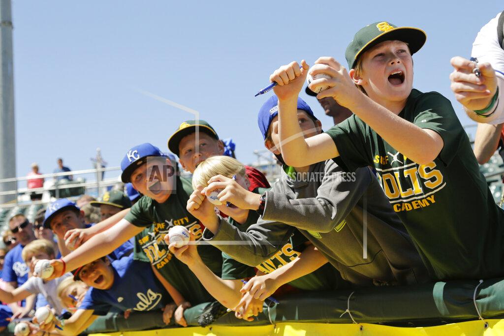 Jae C. Hong FILE - In this March 30, 2016, file photo, young baseball fans scream to get autographs from Kansas City Royals players before the team's spring training baseball game against the Texas Rangers in Surprise, Ariz. As lock-downs are lifted, restrictions on social gatherings eased and life begins to resemble some sense, sports are finally starting to emerge from the coronavirus pandemic. Many sports business experts believe those hardy fans will be the first to return.(AP Photo/Jae C. Hong, File)