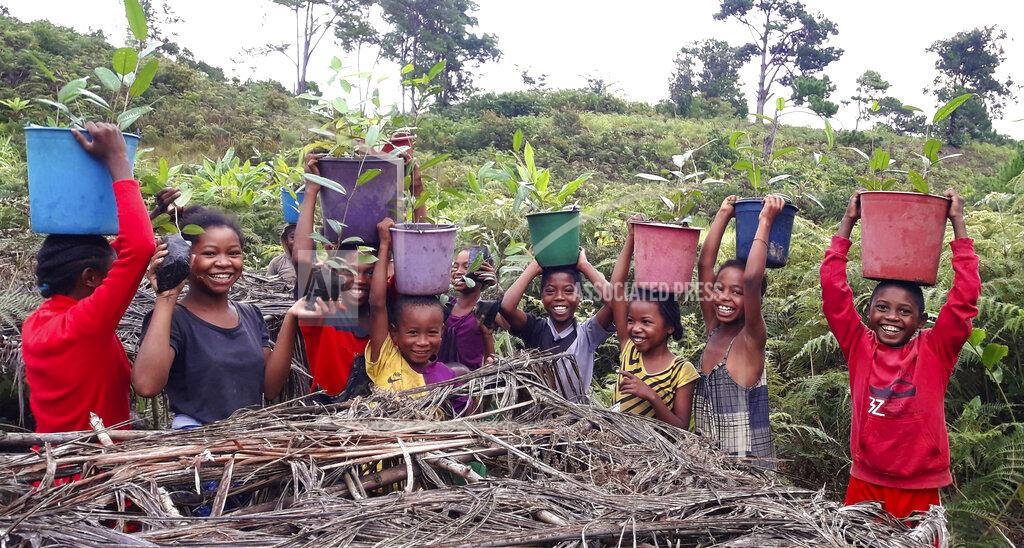 Jessie Jordan This 2020 photo provided by Centre ValBio shows people working in a community-based conservation program in Madagascar to help regrow forests and protect the country's many species of lemurs that live only on the island. COVID-19 has drastically reduced global travel, cutting into conservation budgets that depend on eco-tourism. (Jessie Jordan/Centre ValBio via AP)