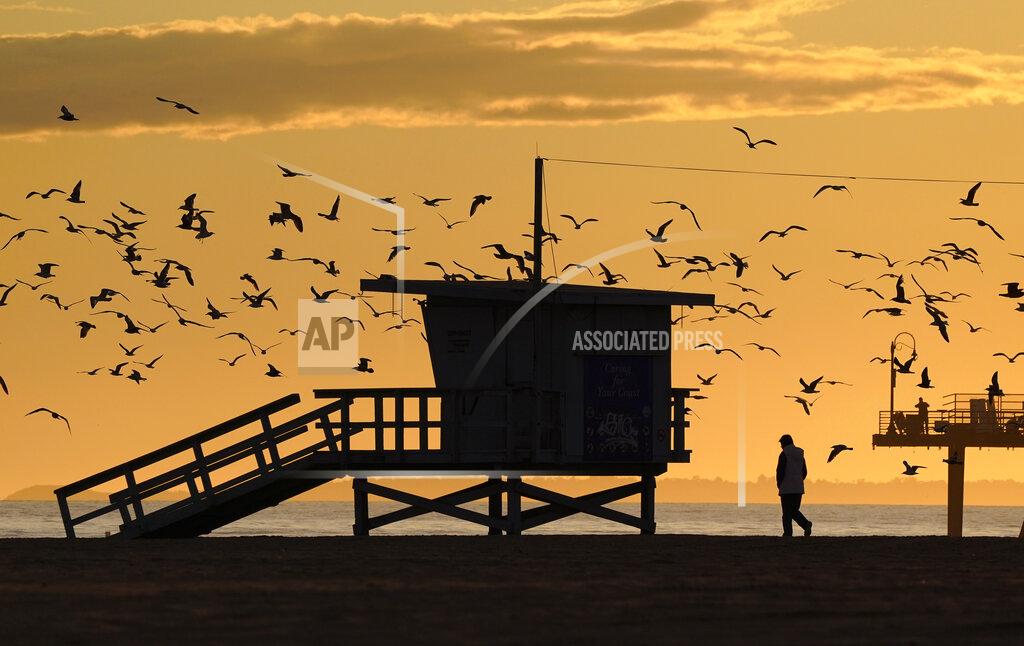 Mark J. Terrill A man walks on an empty beach as seagulls fly around him on Santa Monica State Beach, Friday, April 10, 2020, in Santa Monica, Calif. (AP Photo/Mark J. Terrill)