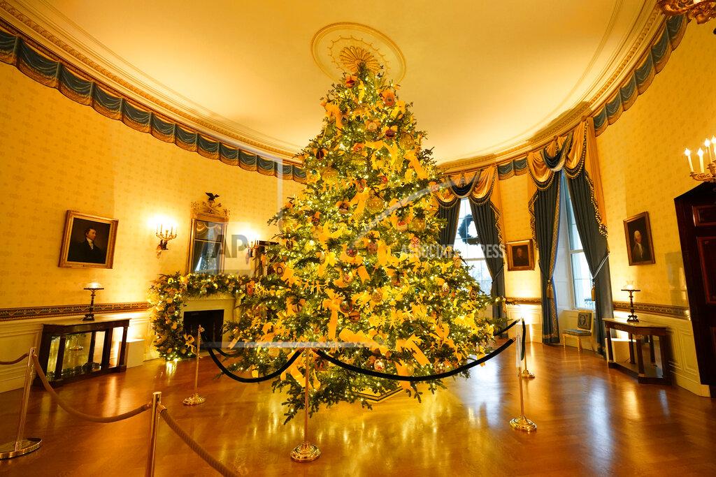 Patrick Semansky The Blue Room of the White House is decorated during the 2020 Christmas preview, Monday, Nov. 30, 2020, in Washington. (AP Photo/Patrick Semansky)