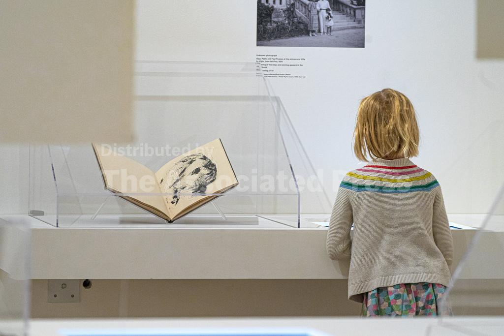 Even Picasso had to practice, practice: Sketchbooks on... - Vimarsana News