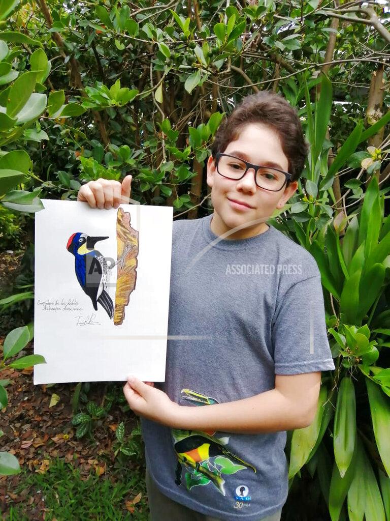 Johana Reyes Herrera In this Aug. 2020 photo provided by Johana Reyes Herrera, Jacobo Rendon, 14, poses with his illustration of an Acorn Woodpecker in his backyard in El Camino de Viboral, Colombia. Rendon has been working on a photographic and illustrated bird guide that he plans to donate to a local cultural center. (Johana Reyes Herrera via AP)