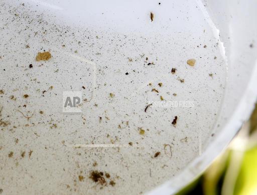 Zika Fighting Outbreaks Zika Fighting Outbreaks