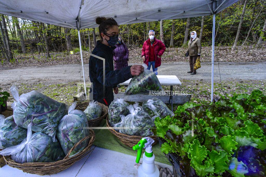 Emily Amanna, of Wild Shepherd Farm, grabs a bag of greens mix for a customer at the Brattleboro Area Farmers' Market, Saturday, May 9, 2020, in Brattleboro, Vt., as the market opens for the first time since the COVID-19 pandemic. (Kristopher Radder/The Brattleboro Reformer via AP)