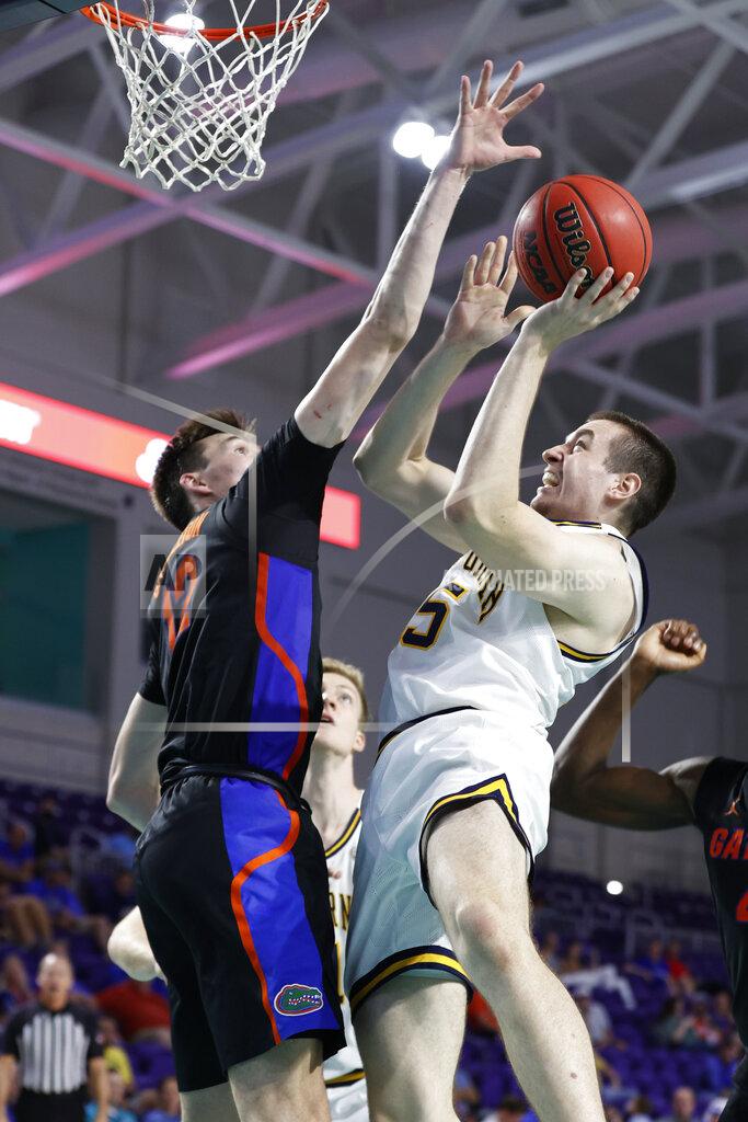 Scott Audette California forward Grant Anticevich, right, drives to the basket past Florida forward Colin Castleton (12) during the second half of an NCAA college basketball game on Monday, Nov. 22, 2021, in Fort Myers, Fla. (AP Photo/Scott Audette)