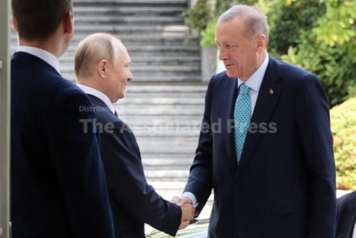 Turkey's president meets Russia's Putin and aims to rev... - Vimarsana News