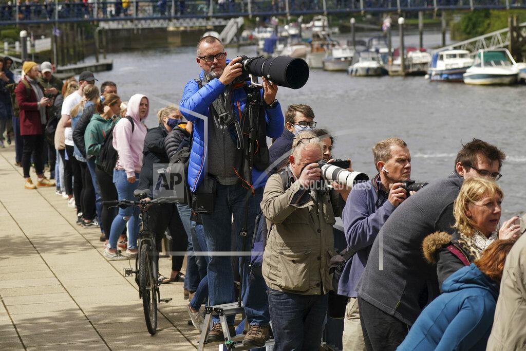 Yui Mok People gather on the footpath at Teddington Lock to try and spot a Minke whale, which was freed on Sunday after it became stuck on Richmond lock's boat rollers but has remained in the Thames, is seen near Teddington Lock in London, Monday, May 10, 2021. A Port of London Authority spokesperson said a whale had never been seen this far up the Thames before, some 95 miles from its mouth. (Yui Mok/PA via AP)