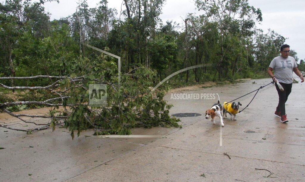 Tomas Stargardter A man walks his dogs past fallen trees after Hurricane Zeta's landfall in Playa del Carmen, Mexico, early Tuesday, Oct. 27, 2020. Zeta is leaving Mexico’s Yucatan Peninsula on a path that could hit New Orleans Wednesday night. (AP Photo/Tomas Stargardter)