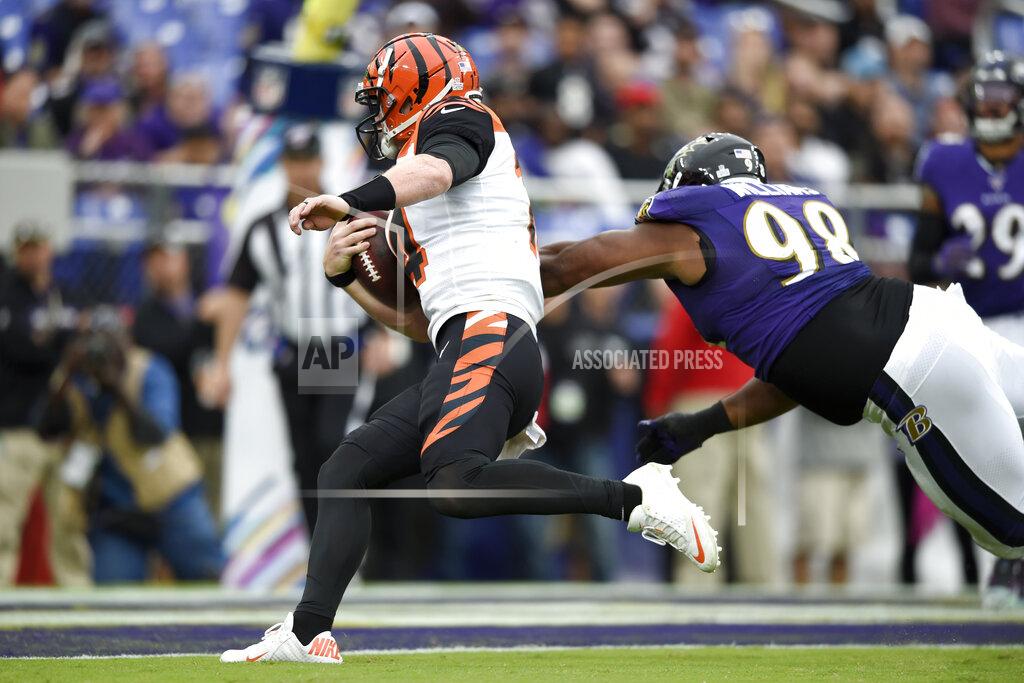 Gail Burton Cincinnati Bengals quarterback Andy Dalton, left, avoids a hit from Baltimore Ravens defensive end Brandon Williams (98) while scoring on a touchdown run during the second half of a NFL football game Sunday, Oct. 13, 2019, in Baltimore. The Ravens won 23-17. (AP Photo/Gail Burton)