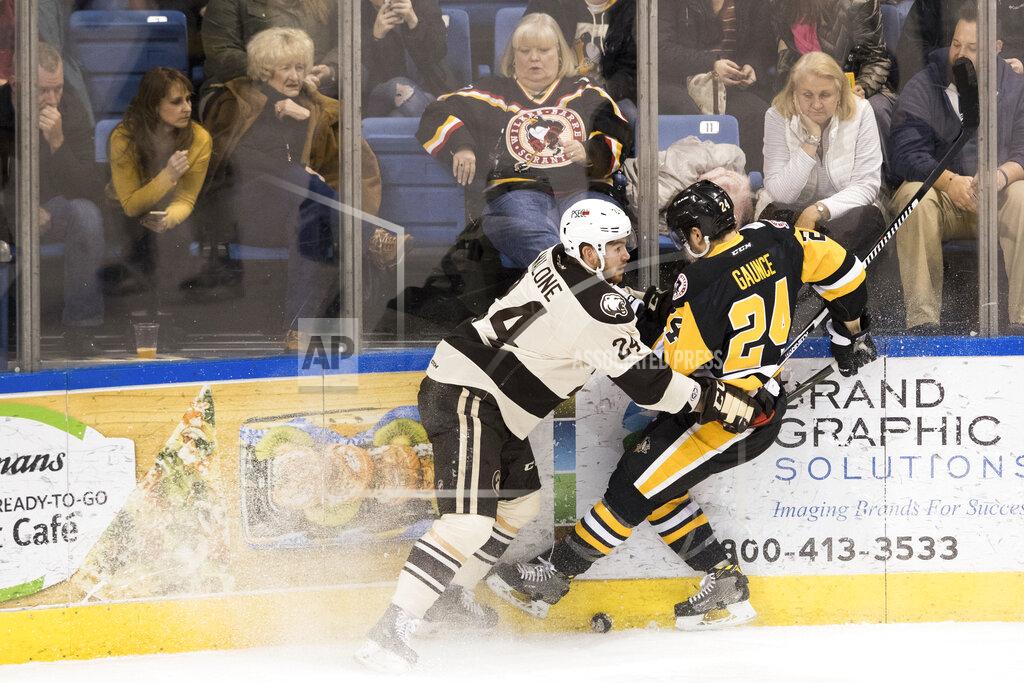 Christopher Dolan FILE - In this Jan. 6, 2017, file photo, fans watch as Wilkes-Barre/Scranton Penguins' Cameron Gaunce, right, and Hershey Bears' Brad Malone collide into the wall during an AHL hockey game at Mohegan Sun Arena in Wilkes-Barre, Pa. Unlike the NFL, NBA or Major League Baseball that can run on television revenue, it's impossible for some minor sports leagues in North America to go on in empty stadiums and arenas in light of the coronavirus pandemic. These attendance-driven leagues might not play again at all in 2020, putting some teams in danger of surviving at all and potentially changing the landscape of minor league sports in the future. (Christopher Dolan/The Citizens' Voice via AP, File)
